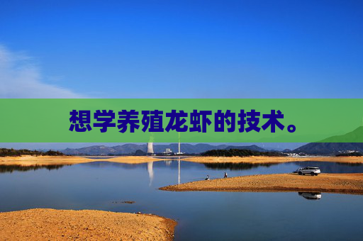 想学养殖龙虾的技术。 想学养殖龙虾的技术。