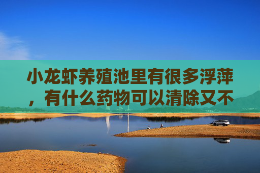 小龙虾养殖池里有很多浮萍，有什么药物可以清除又不影响小龙虾的生长呢？