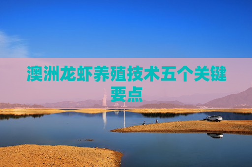 澳洲龙虾养殖技术五个关键要点 澳洲龙虾养殖技术五个关键要点