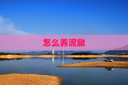 怎么养泥鳅