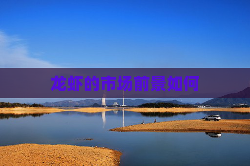 龙虾的市场前景如何