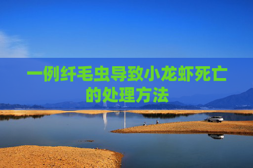 一例纤毛虫导致小龙虾死亡的处理方法