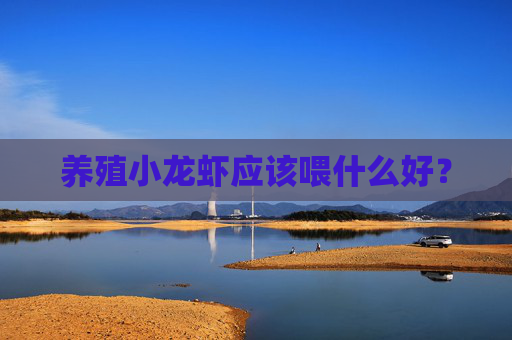 养殖小龙虾应该喂什么好? 养殖小龙虾应该喂什么好?