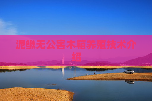 泥鳅无公害木箱养殖技术介绍