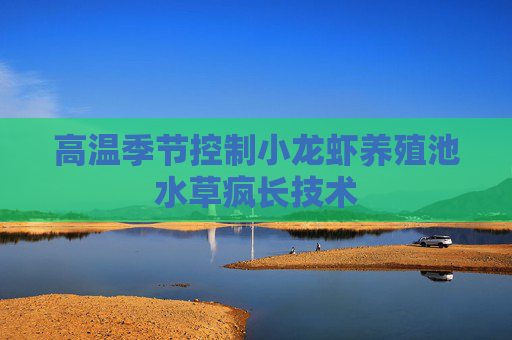 高温季节控制小龙虾养殖池水草疯长技术 高温季节控制小龙虾养殖池水草疯长技术