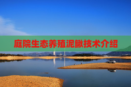 庭院生态养殖泥鳅技术介绍