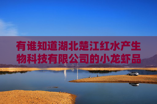 有谁知道湖北楚江红水产生物科技有限公司的小龙虾品质咋样? 有谁知道湖北楚江红水产生物科技有限公司的小龙虾品质咋样?