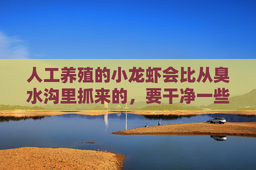 人工养殖的小龙虾会比从臭水沟里抓来的，要干净一些吗？区别在哪里呢？