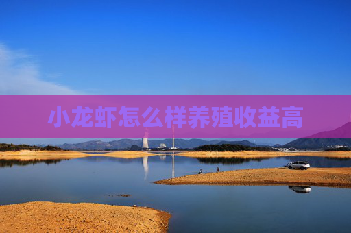 小龙虾怎么样养殖收益高