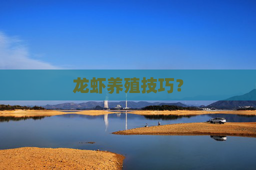 龙虾养殖技巧?