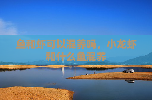 鱼和虾可以混养吗，小龙虾和什么鱼混养