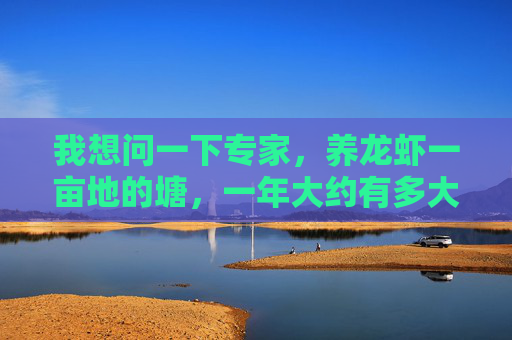 我想问一下专家,养龙虾一亩地的塘,一年大约有多大的收入 我想问一下专家,养龙虾一亩地的塘,一年大约有多大的收入