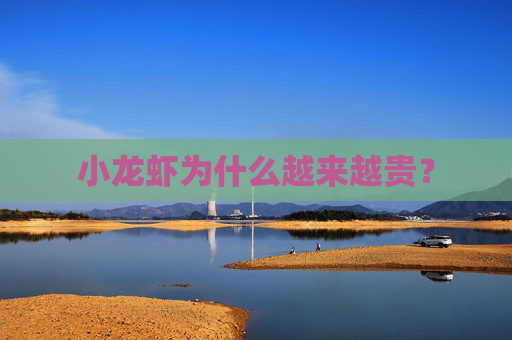 小龙虾为什么越来越贵？