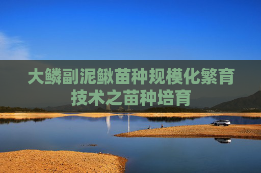 大鳞副泥鳅苗种规模化繁育技术之苗种培育