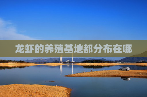 龙虾的养殖基地都分布在哪 龙虾的养殖基地都分布在哪
