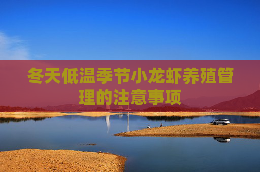 冬天低温季节小龙虾养殖管理的注意事项 冬天低温季节小龙虾养殖管理的注意事项