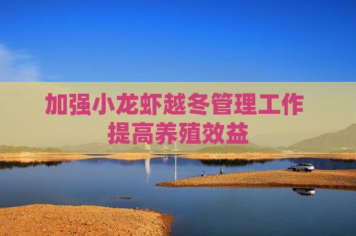 加强小龙虾越冬管理工作 提高养殖效益 加强小龙虾越冬管理工作 提高养殖效益