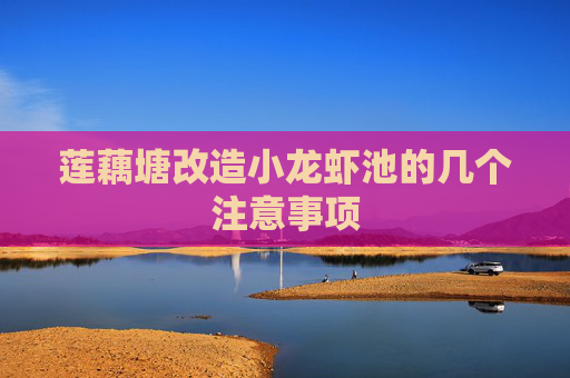 莲藕塘改造小龙虾池的几个注意事项 莲藕塘改造小龙虾池的几个注意事项