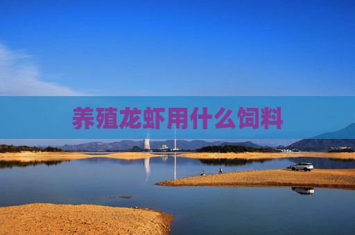 养殖龙虾用什么饲料 养殖龙虾用什么饲料