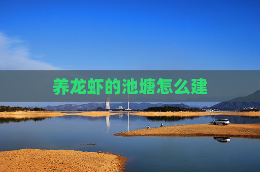 养龙虾的池塘怎么建 养龙虾的池塘怎么建