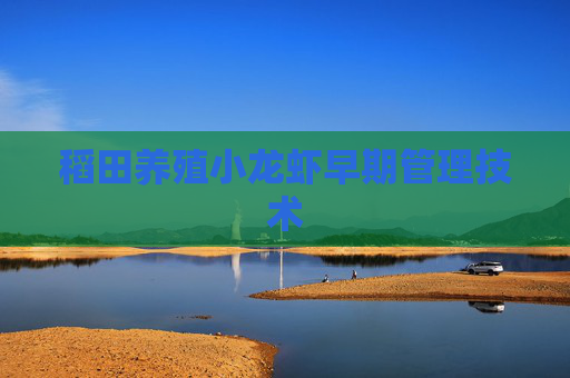 稻田养殖小龙虾早期管理技术 稻田养殖小龙虾早期管理技术
