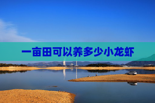 一亩田可以养多少小龙虾
