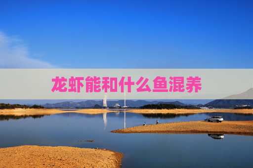 龙虾能和什么鱼混养