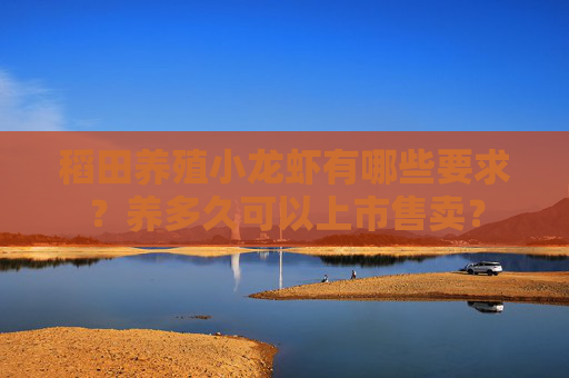 稻田养殖小龙虾有哪些要求？养多久可以上市售卖？