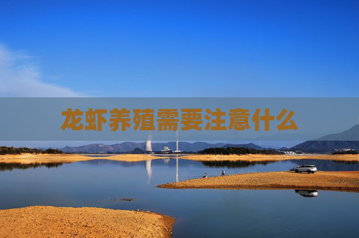 龙虾养殖需要注意什么 龙虾养殖需要注意什么