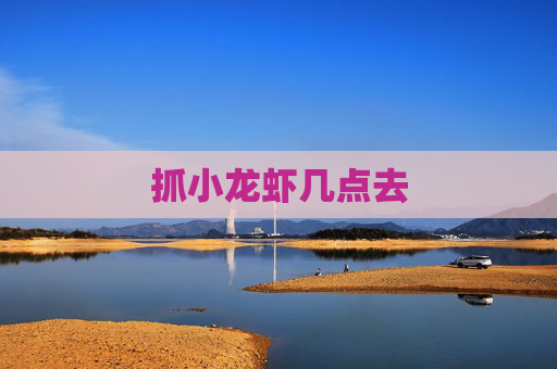 抓小龙虾几点去