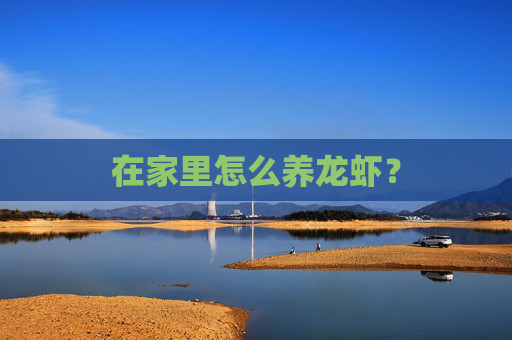 在家里怎么养龙虾? 在家里怎么养龙虾?