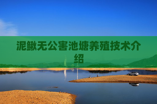 泥鳅无公害池塘养殖技术介绍