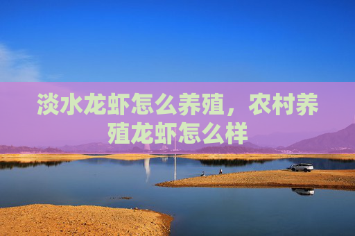 淡水龙虾怎么养殖，农村养殖龙虾怎么样