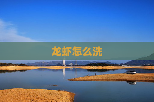 龙虾怎么洗