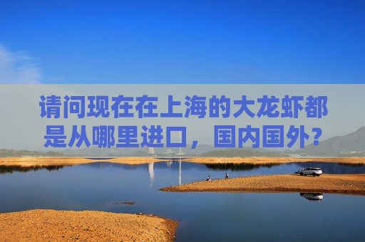 请问现在在上海的大龙虾都是从哪里进口,国内国外?产地,进价,进货渠道,在市场上的售价等。。。 请问现在在上海的大龙虾都是从哪里进口,国内国外?产地,进价,进货渠道,在市场上的售价等。。。