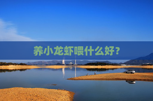 养小龙虾喂什么好? 养小龙虾喂什么好?