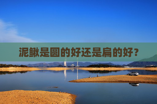 泥鳅是圆的好还是扁的好？
