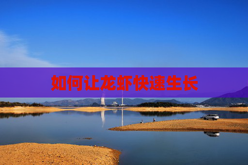 如何让龙虾快速生长 如何让龙虾快速生长
