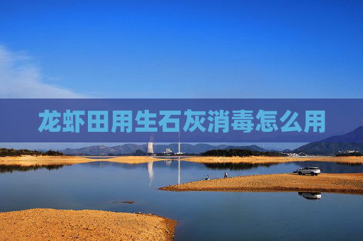 龙虾田用生石灰消毒怎么用