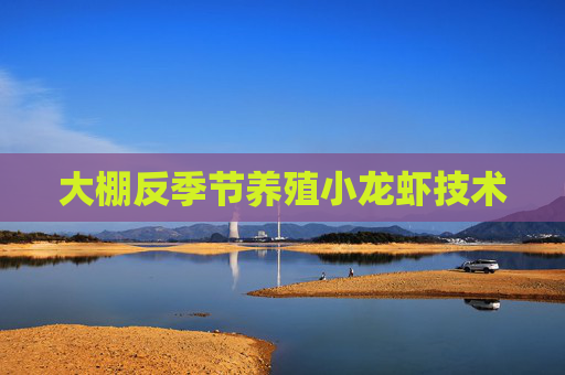 大棚反季节养殖小龙虾技术