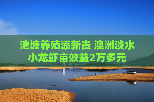 池塘养殖添新贵 澳洲淡水小龙虾亩效益2万多元 池塘养殖添新贵 澳洲淡水小龙虾亩效益2万多元