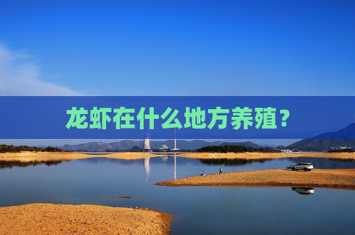 龙虾在什么地方养殖？