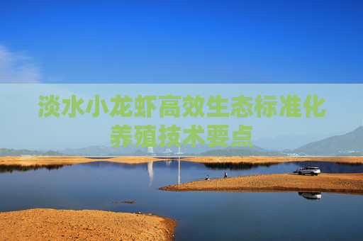 淡水小龙虾高效生态标准化养殖技术要点