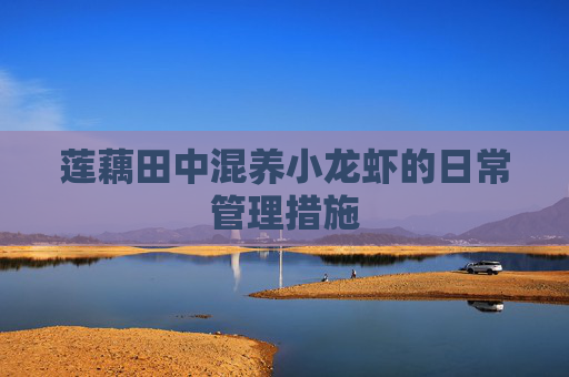 莲藕田中混养小龙虾的日常管理措施 莲藕田中混养小龙虾的日常管理措施