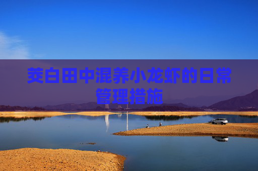 茭白田中混养小龙虾的日常管理措施