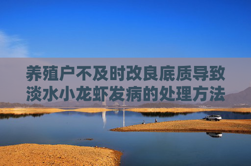 养殖户不及时改良底质导致淡水小龙虾发病的处理方法 养殖户不及时改良底质导致淡水小龙虾发病的处理方法
