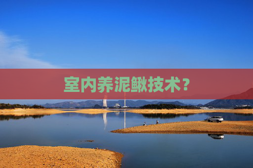 室内养泥鳅技术？