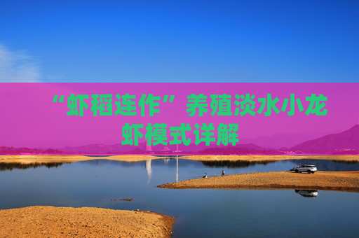 “虾稻连作”养殖淡水小龙虾模式详解