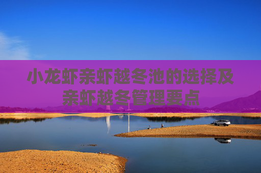 小龙虾亲虾越冬池的选择及亲虾越冬管理要点