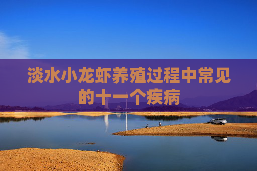 淡水小龙虾养殖过程中常见的十一个疾病 淡水小龙虾养殖过程中常见的十一个疾病
